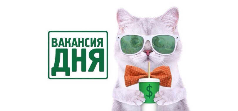 Набор в команду компании ЛесСтройПроект